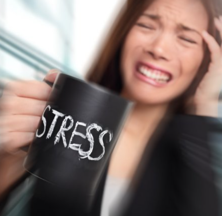 how stress affects our microbiome