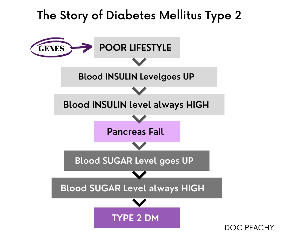 how we develop Diabetes Mellitus type 2